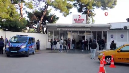 Odun toplayan gence domuz saldırdı