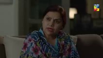 Tajdeed e Wafa Epi 17 HUM TV Drama 13 January 2019