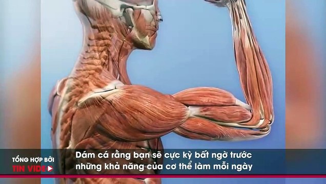 MS NHỮNG SỰ THẬT ĐÁNG KINH NGẠC VÀ KỲ QUẶC VỀ CƠ THỂ ĐẢM BẢO 99,9% NGƯỜI CHƯA BAO GIỜ HAY BIẾT