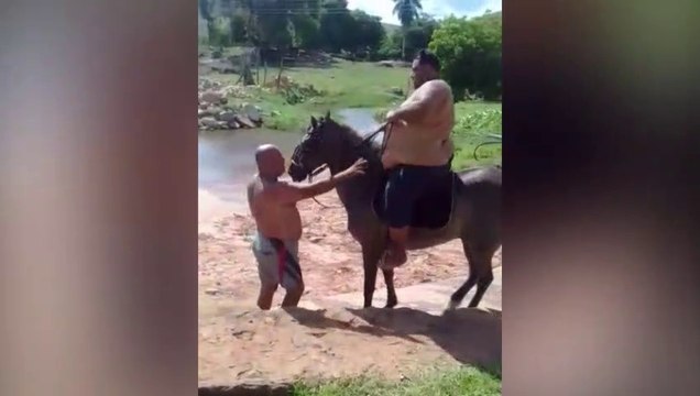 Une courte balade en cheval !