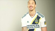 Ibrahimovic says he has a lot to offer LA Galaxy