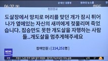 수십만 동의한 靑 국민청원…알고 보니 '가짜 뉴스'