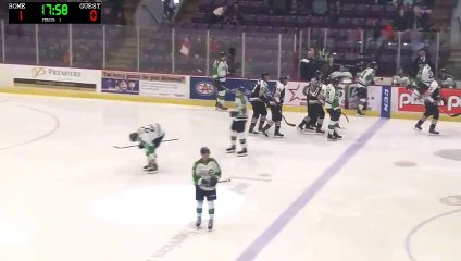 ECHL Maine Mariners 3 at Brampton Beast 7