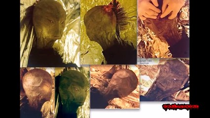 10 Objetos de supuesto origen extraterrestre