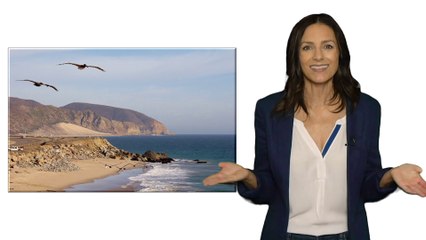 Pacific Seed Bank Calls California "Home Sweet Home" - Cultivate Your Own!