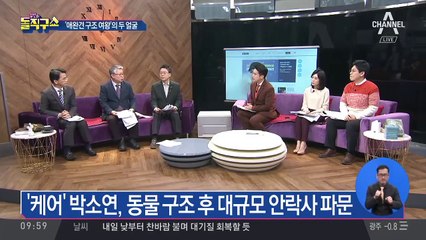 박소연, 10년 전에도 횡령·안락사 연루