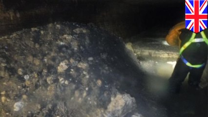 長さ約64メートル…超巨大「ファットバーグ」が英で発見される - トモニュース