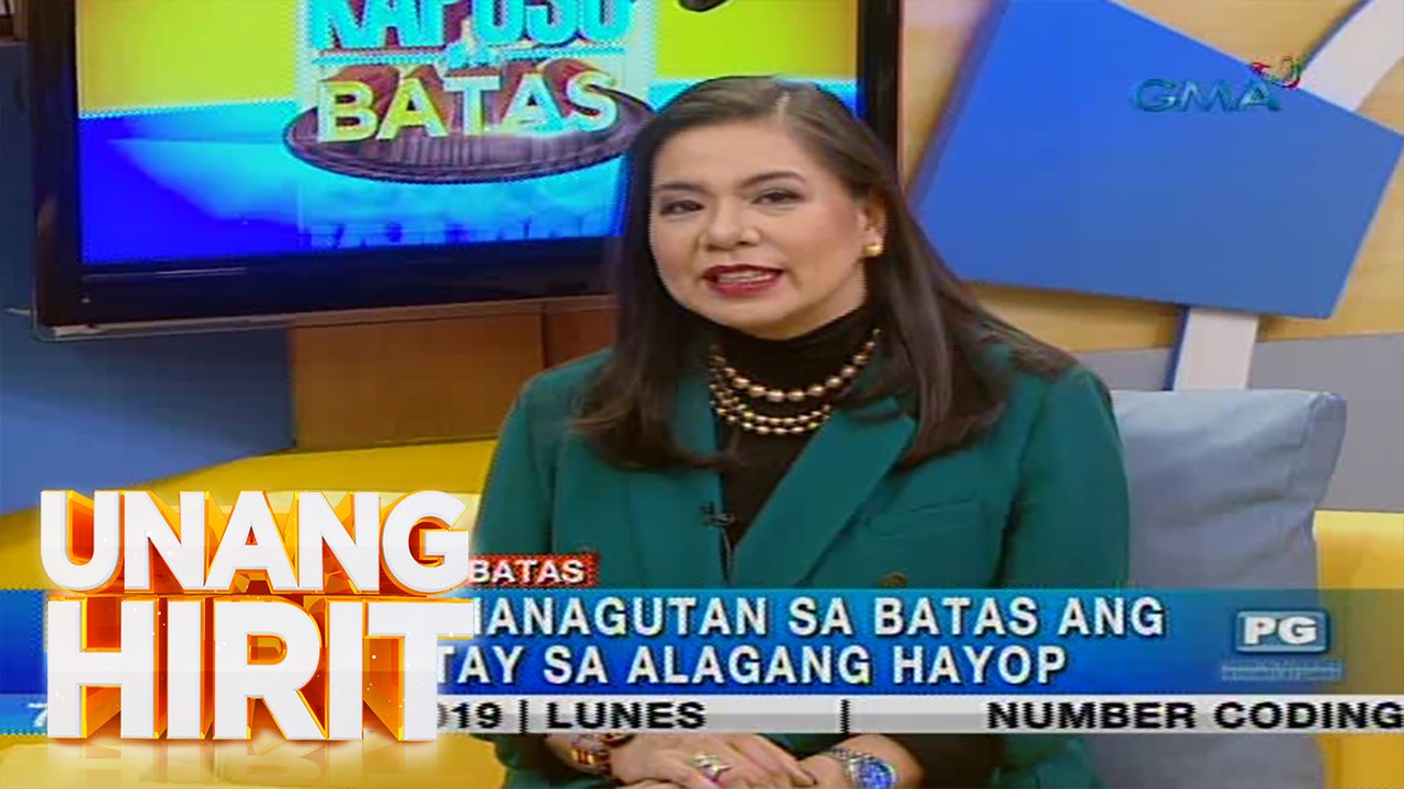 Unang Hirit: Paglason sa mga hayop, ano ang puwedeng kasong isampa? | Kapuso Sa Batas