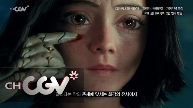 을 완벽하게 즐기는 법