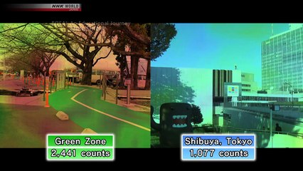 BOSAI; An Educational Journey; Fukushima Edition 1; Lessons