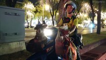 Dog Rides Motorcycle With Flashing Party Hat