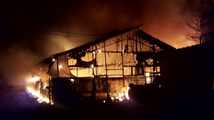 공주 돼지농장서 불...돼지 9백 마리 폐사 / YTN