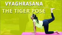 LEARN HOW TO do the TIGER POSE | Vyaghrasana | Simple Yoga | Yoga For Beginners | Mind Body Soul