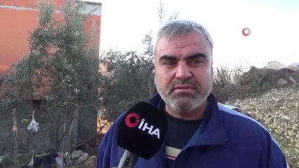 İki Kedinin Annelerine Masaj Yaparken Ki Şirin Halleri Sosyal Medyada İlgi Odağı Oldu