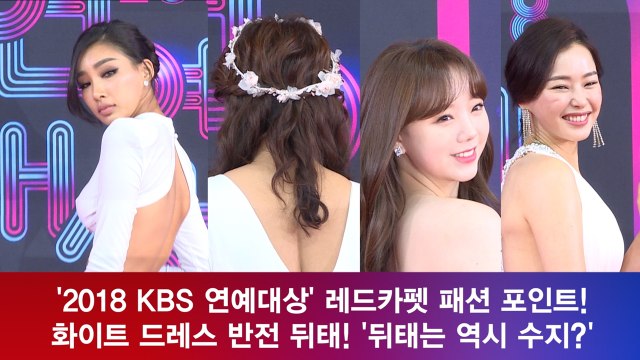 '2018 KBS 연예대상' 레드카펫 키워드 '반전 뒤태?' '뒤태는 역시 수지?'