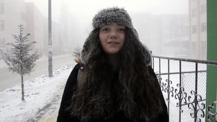 Ardahan'da soğuk hava ve sis