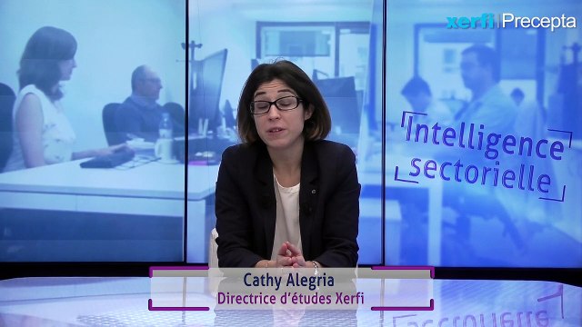 Les stratégies des banques et assurances sur le marché des travailleurs indépendants [Cathy Alegria]