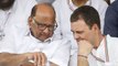 Lok Sabha Election 2019: NCP Congress की 45 Seats पर बात पक्की, 3 Seats पर फंसा पेंच |वनइंडिया हिंदी