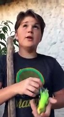 نهاية غير متوقعة لعملية دفن ببغاء كادت تنتهي بين أنياب حيوان ضخم !