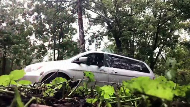 Un ours explose une vitre pour sortir d'une voiture