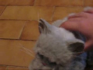 MAURICE au pays des merveilles