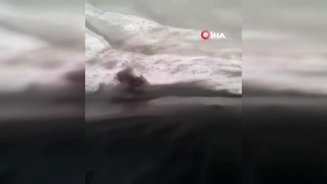 Buz Tutan Havuzda Yaşam Savaşı