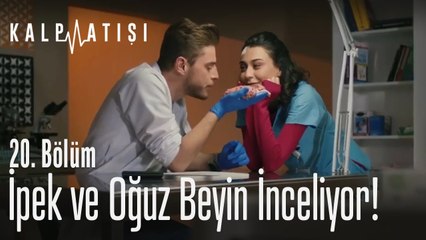 İpek ve Oğuz beyin inceliyor! - Kalp Atışı 20. Bölüm