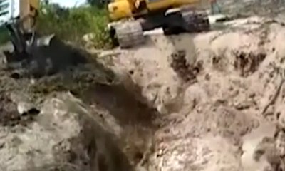 Download Video: Bangkai Paus Terdampar di Pesisir Pantai Pulau Buru Dikubur