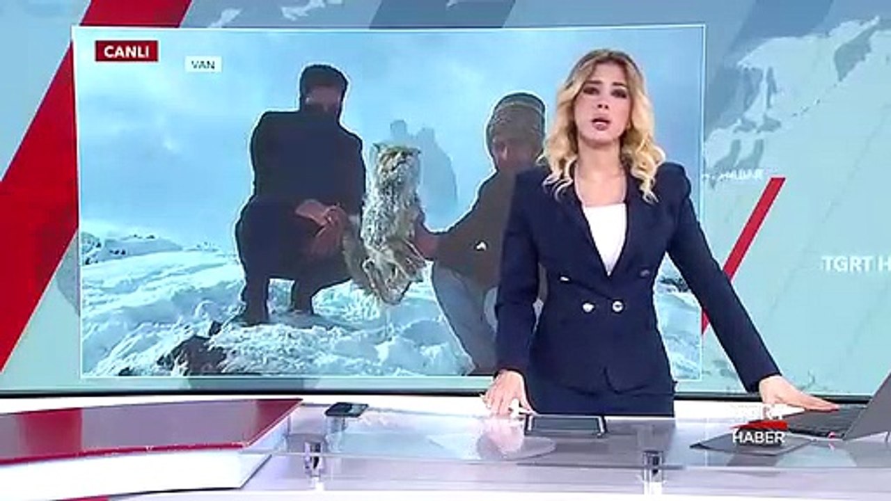 Tilki Donarak Telef Oldu