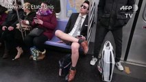 De New York à Berlin, ils prennent le métro sans pantalon