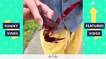 TRY NOT TO LAUGH CHALLENGE The Best Funny Vines Videos of All Time Compilation #2 April 2018