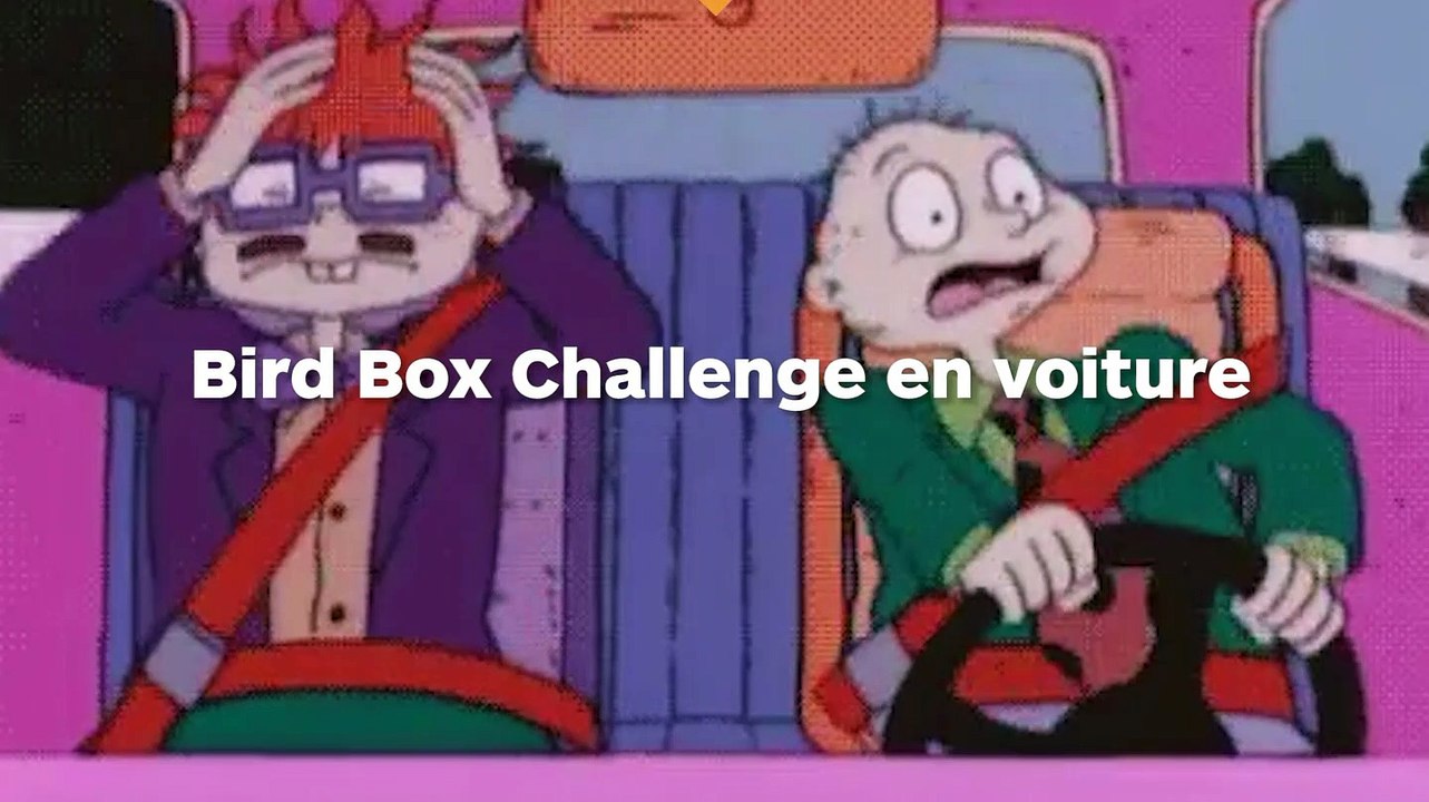 Deux ados réalisent le "Bird Box Challenge" en voiture, elles conduisent les yeux bandés !