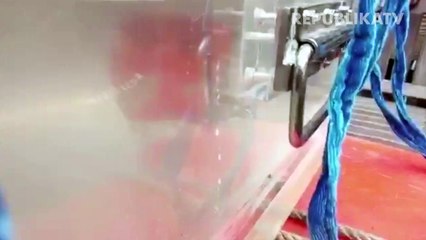 Penyelam TNI AL Temukan Kotak Hitam Lion Air JT-610