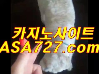 바다이야기시즌7  ☆ 【VTS949+coM】 ☆ 바다이야기시즌7