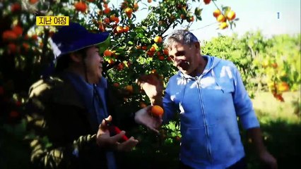 세계테마기행 - 푸른 바다의 전설, 아드리아해 2부- 황제가 반한 땅_#001