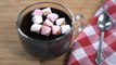 Hot Chocolate Recipe - Homemade Easy Hot Chocolate Drink - Winter Special - Ruchi