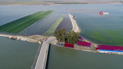 Çukurova 'gölova' oldu... Sular altında kalan bölge havadan görüntülendi