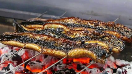 Japanese Food WILD BOAR EEL Kanazawa Seafood Japan