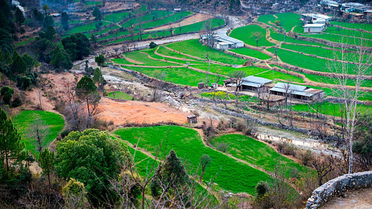 Le grand projet de reforestation du Pakistan : plus d'un millard d'arbres plantés