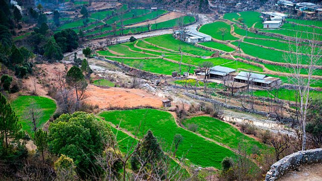 Le grand projet de reforestation du Pakistan : plus d'un millard d'arbres plantés