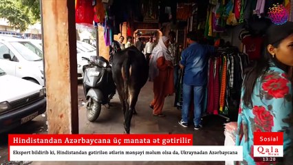 Hindistandan Azərbaycana üç manata ət gətirilir.