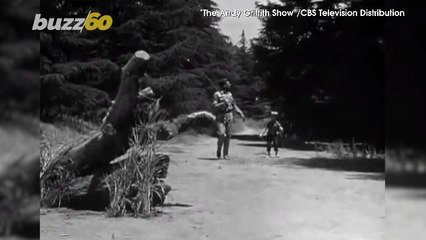 'Andy Griffith Show' Star Gifted $100K to 'Mayberry' Like Police Department in Will