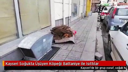 Kayseri Soğukta Üşüyen Köpeği Battaniye ile Isıttılar