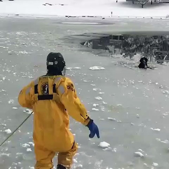 Un homme courageux tente de sauver un chien prisonnier dans un lac gelé !