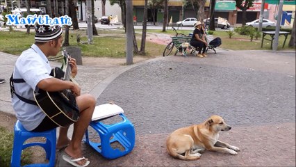 MAWTHAM/Bemtham -MÚSICA para um CACHORRO na praça em MARANGUAPE - 1ª Intervenção de Domingo