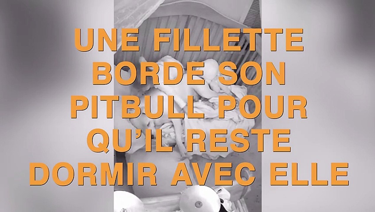 Une fillette borde son pitbull pour qu'il reste, elle ne veut plus dormir sans lui !