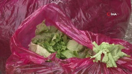 Antalya Halinde 5 Liranın Altında Sebze Yok"