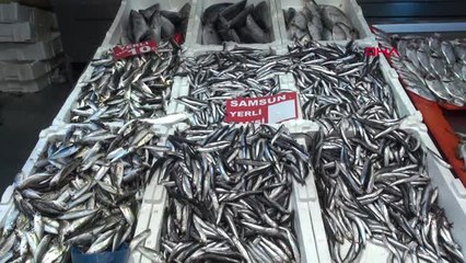 Samsun'da Hamsinin Kilo Fiyatı 30 TL'ye Ulaştı