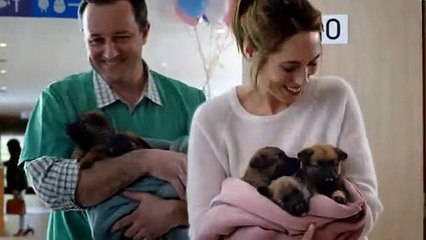 Kito est devenu père de 5 mignons petits chiots !
