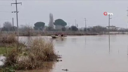 Manisa'da Yaşanan Su Baskınları Sonrası Çiftçiler Bağ Evlerindeki Hayvanlarını Kurtarmaya Çalışıyor
